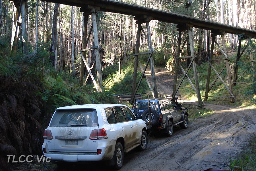 02-Cat & Demon approach the trestle bridge.jpg